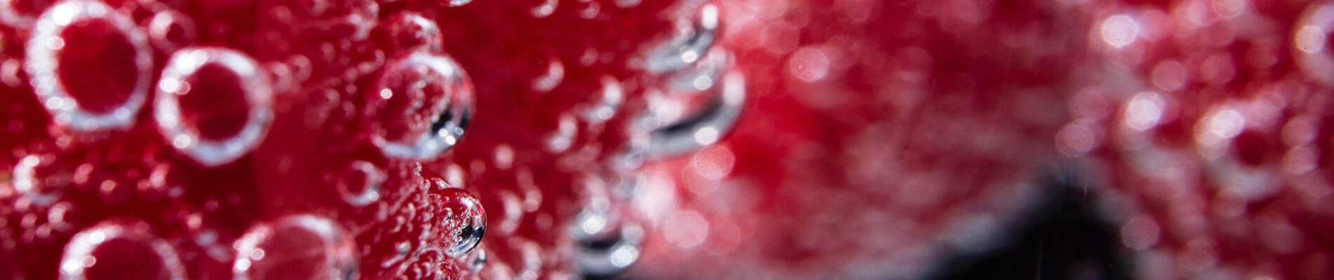 Insurance reinstatement valuation for the original much loved blackcurrant drink