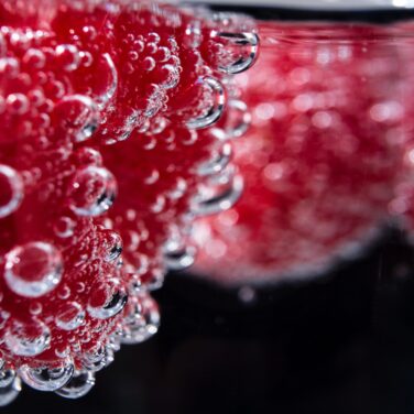 berry-bright-bubble-1145247