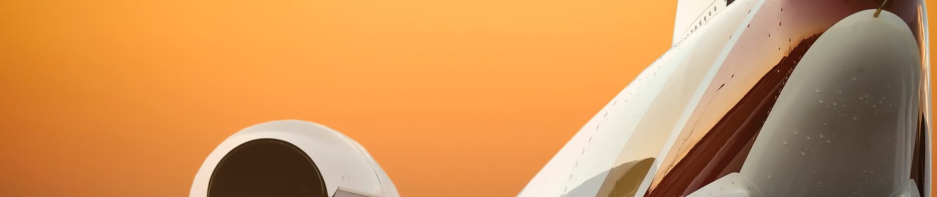 Assessing Tax penalty resulting from asset transfer