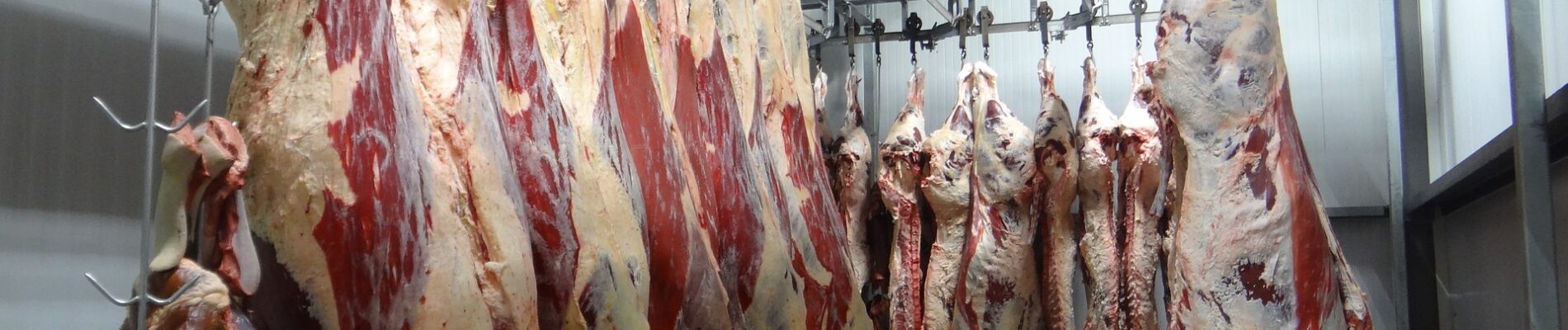 Valuation for merger of two meat processors