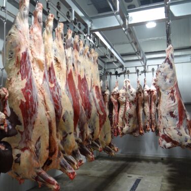 Meat Processing Plant