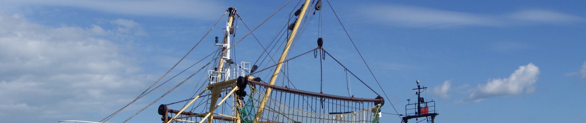 Resolution of shareholder dispute