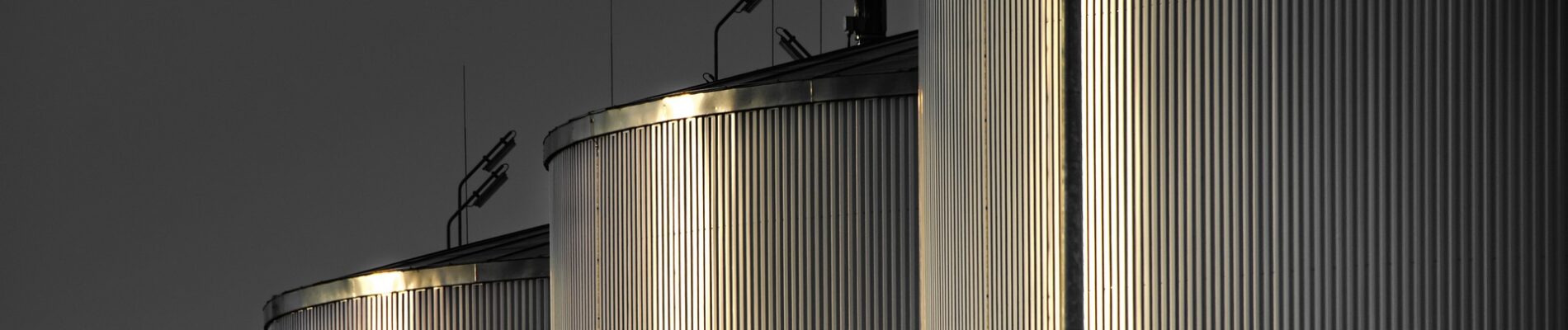 Valuation and Analysis of Food Production and Manufacturing Industry