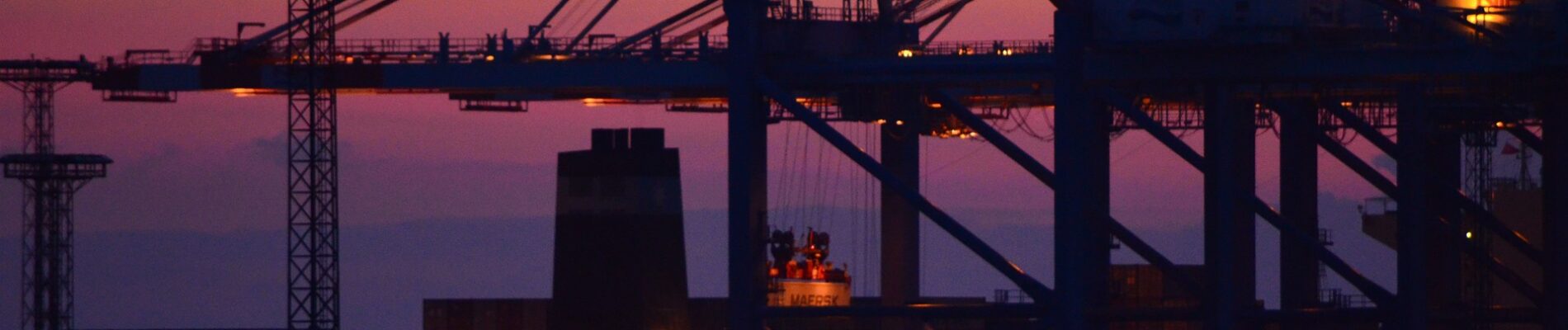 Financial Reporting and Balance Sheet for Global Ports