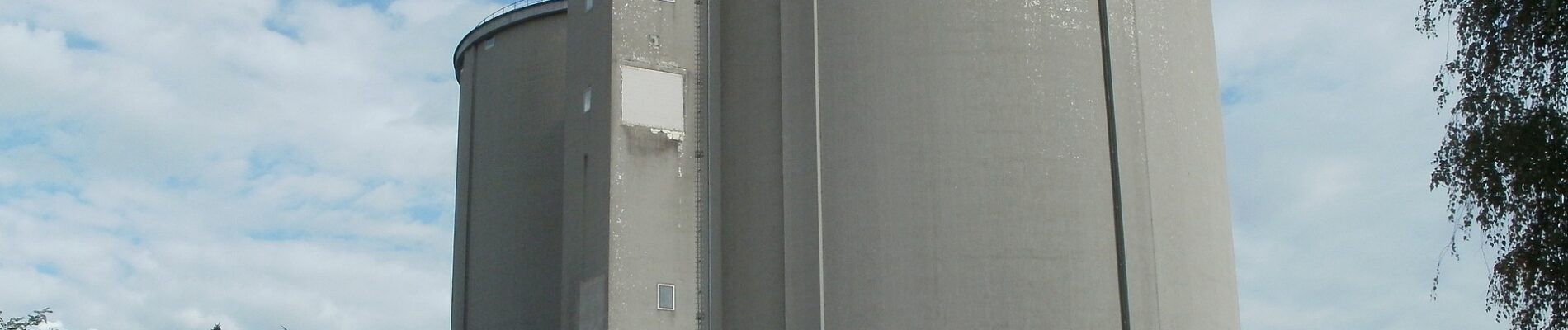 Consultancy Advice, Asset Valuation and Marketing of Asset for a Sugar Refinery