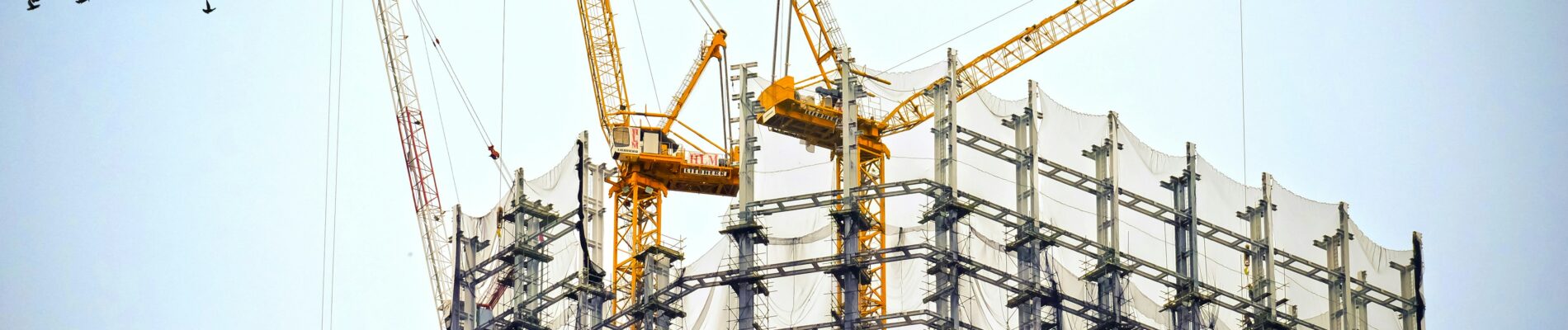 Construction Sector: Market Update Autumn 2024