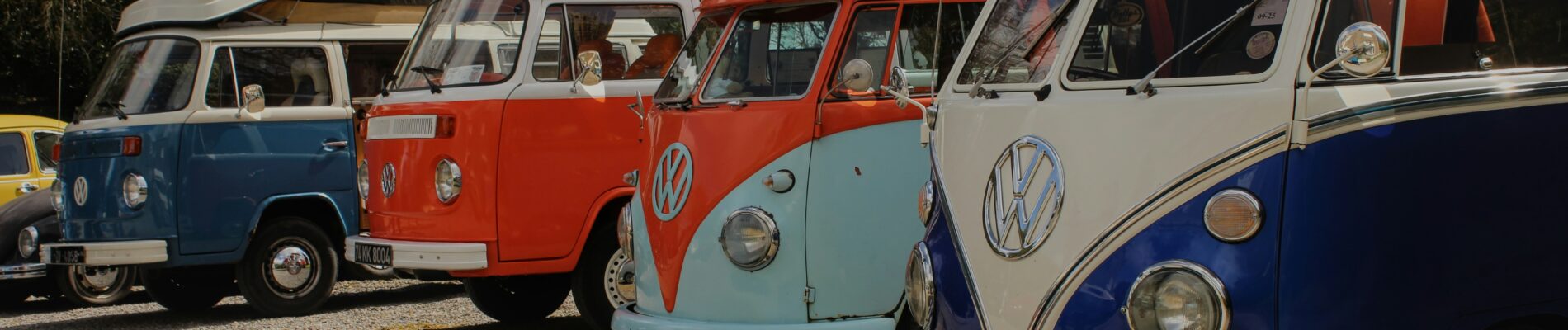 Recreational Vehicle Fleet Valuation and TDD ​